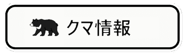 クマ情報