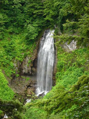 モーカケの滝 | 尾瀬保護財団