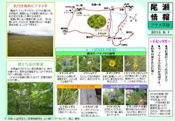 アヤメ平自然情報（長沢）20130901（森山）