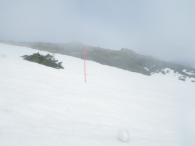 H26 至仏山残雪期対策　誘導ポール点検（ 5/ 2）