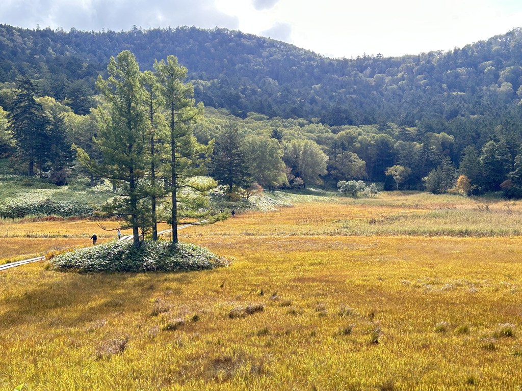 2025年10月2日－尾瀬沼ビジターセンターより（秋色の深まり