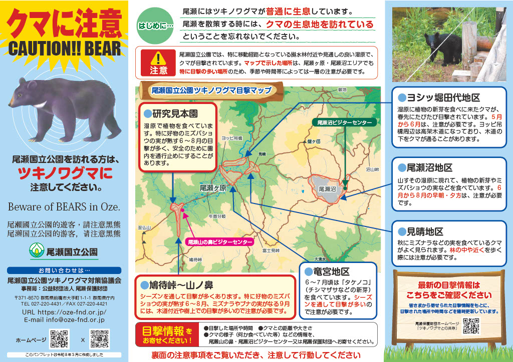 ツキノワグマとの共存 | 尾瀬保護財団
