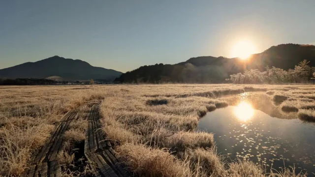 2025年7月10日－尾瀬沼ビジターセンターより（ニッコウキスゲの季節が