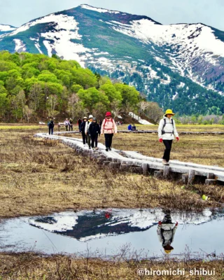 尾瀬沼ビジターセンターのイベント情報】（見晴地区） | 尾瀬保護財団
